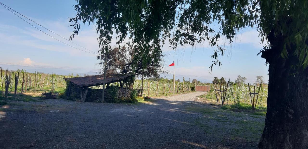 El Carmen De Los Guindos, Las Choicas, Curico ξενώνας Εξωτερικό φωτογραφία